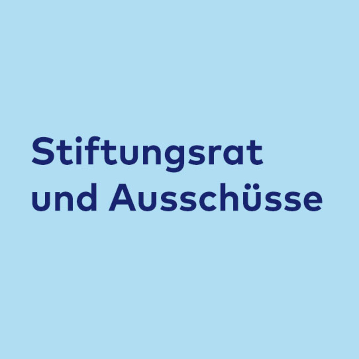 Stiftungsrat